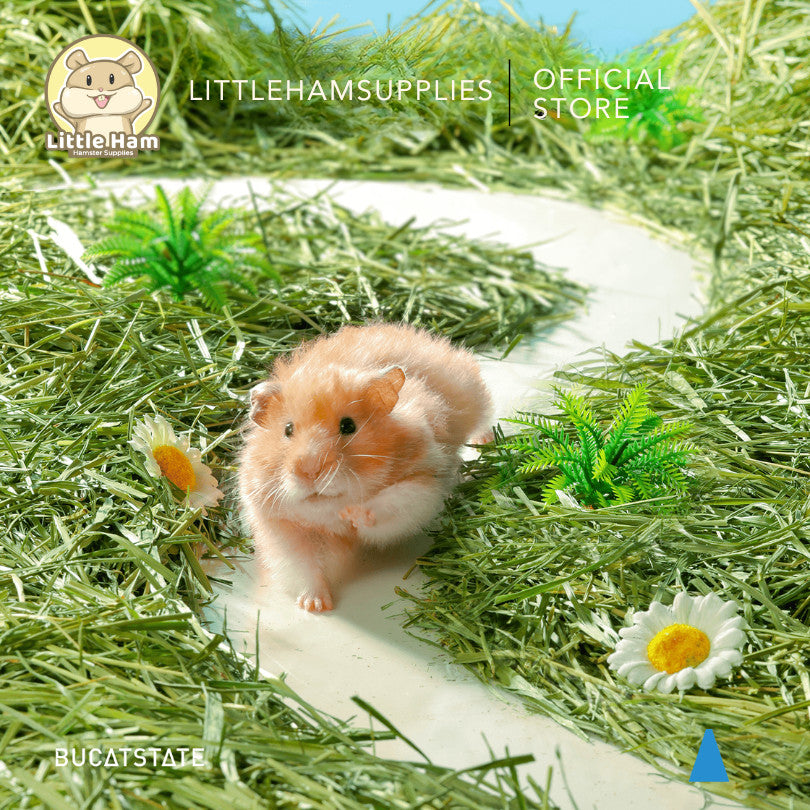 BUCATSTATE Padding Grass pet bedding substrate texture 500g